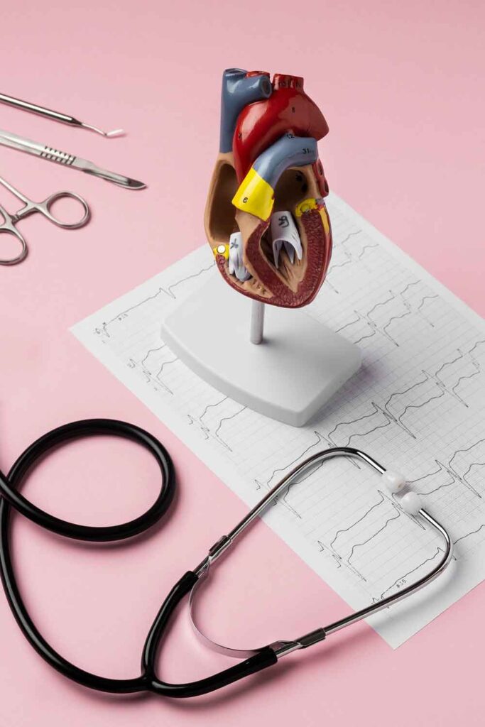 Symbolbild für Kardiologie: Ein Harzmodell, Stethoskop und Auszug aus einem EKG