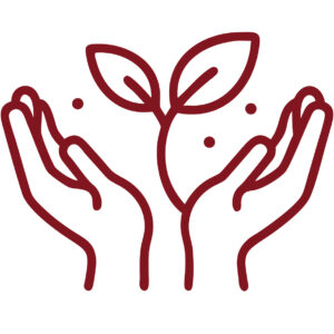 Icon Naturheilkunde