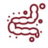 Icon Darmtherapie